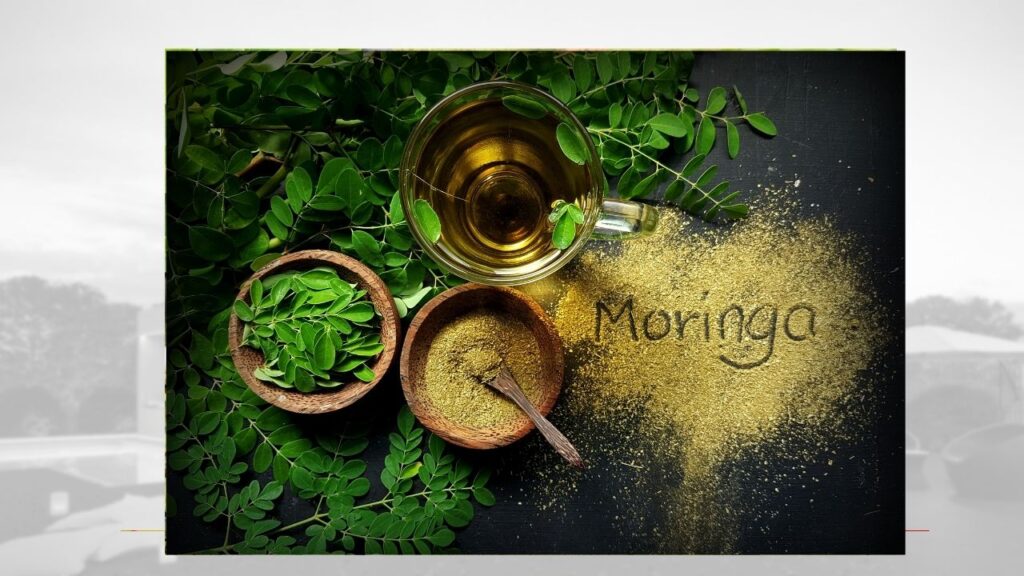 Moringa powder