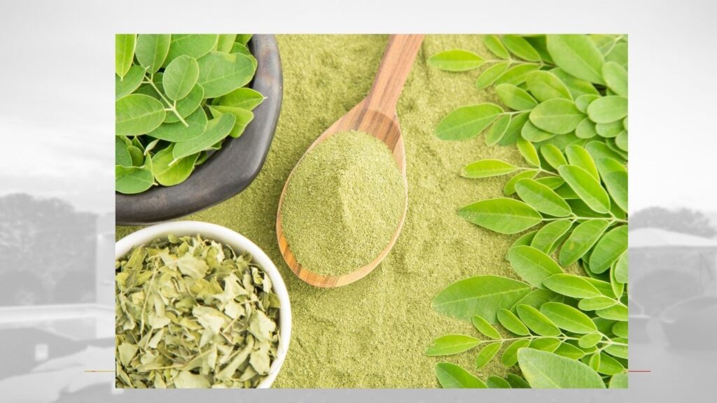 Moringa Powder