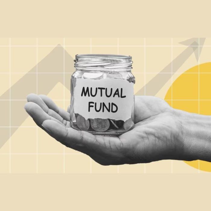  HDFC Mutual Fund 2024