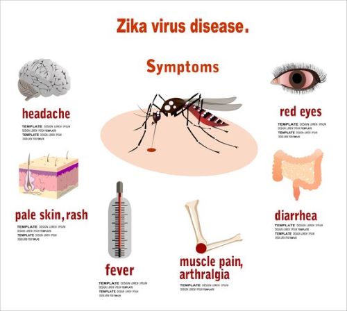 Common symptoms of Zika virus